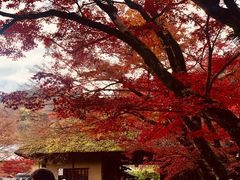 -醍醐寺