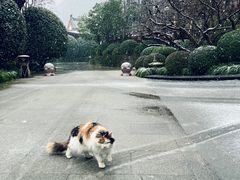 -西安华清御汤酒店