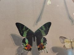 -陕西自然博物馆