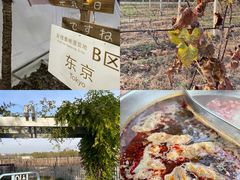 -安德鲁户外烧烤帐篷营地(马泉营店)