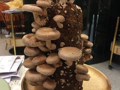 鲜活菌菇棒-椰子营·椰子鸡火锅(万象里店)