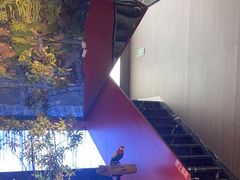 -同和·小葱伴豆腐(凤凰北路店)