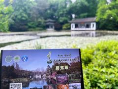 -杭州植物园