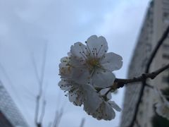 -瑞幸咖啡(外滩SOHO店)