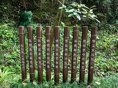 -剑门关风景区