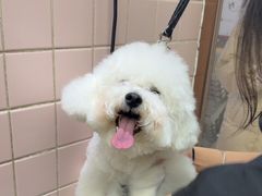 -FAELING PETS美天灵宠物(富力广场店)