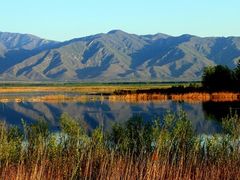 -野鸭湖国家湿地公园