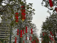 -洲头咀公园