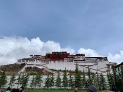 -吉祥圣雪藏餐