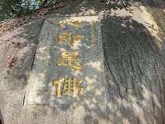 -南普陀寺