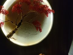 -大桶大足浴(宝山店)