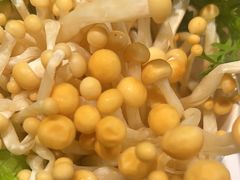-蜀九香火锅(彩虹店)