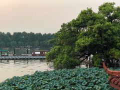 -湖畔居茶楼(湖滨店)