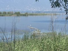 -野鸭湖国家湿地公园