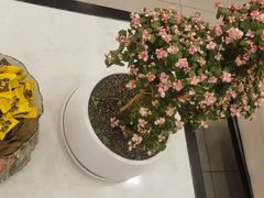 -正清和·推拿养生(二七广场店)