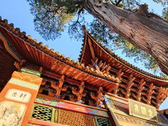 -巍山古城