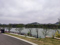 -羊山湖公园