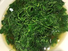 -阿英煲(凉城路店)