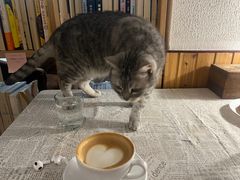 -隅cafe(傅厚岗店)