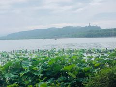 -湖畔居茶楼(湖滨店)