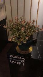 -京世沙龙