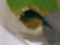 -好利来(红旗万达店)