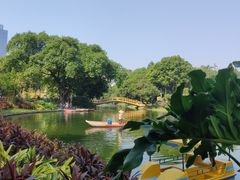 -晓港公园