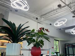 -车友必成·3M汽车贴膜/隐形车衣/改色膜(成都店)