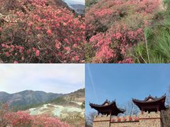 -木兰云雾山