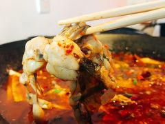 -靓蛙馆