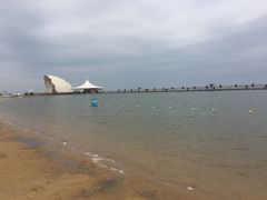 -碧海金沙