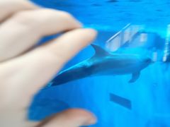 -福州罗源湾海洋世界旅游区