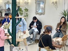 -共舞时光猫咖·狗咖(新街口店)