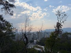 -金鸡山公园