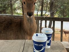 -观唐（国际）度假村温泉