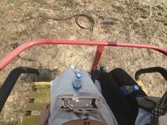 -古柏渡飞黄旅游区