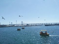 -星海湾跨海大桥