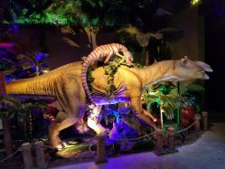 -恐龙探索乐园(磁器口店)