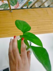 -babiline芭比莱恩半永久纹眉纹唇发际线