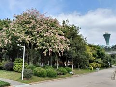 -狐尾山公园