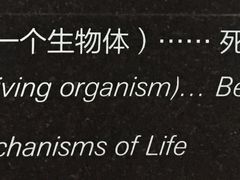 -知美术馆