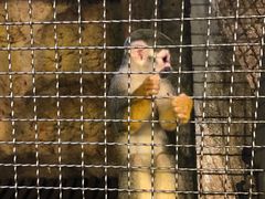 -成都浩海立方海洋公园