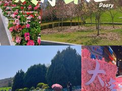 -棒棰岛宾馆景区