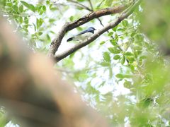 -晓港公园