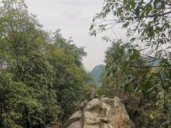 -南山植物园