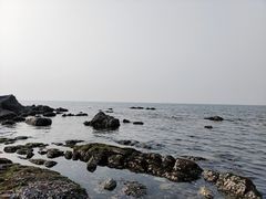 -养马岛旅游度假区