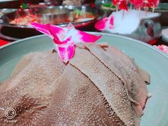 -谭鸭血老火锅(漳州路店)