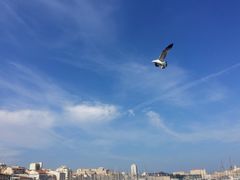 -马赛老港