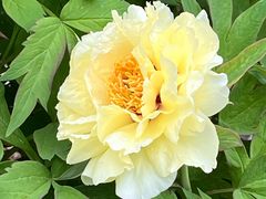 -国家植物园南园