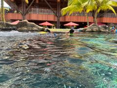 -新加坡水上探险乐园